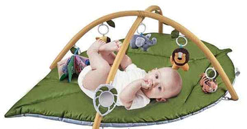 PLAYGYM TOY
